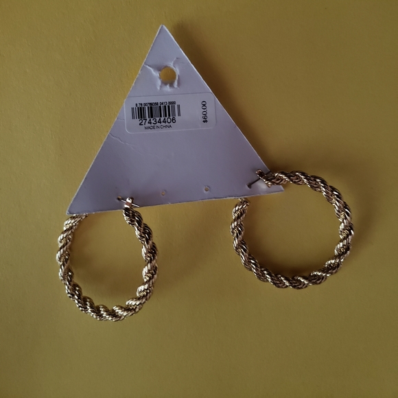 Express X LUJ AJ Hoop Earrings - Picture 4 of 7